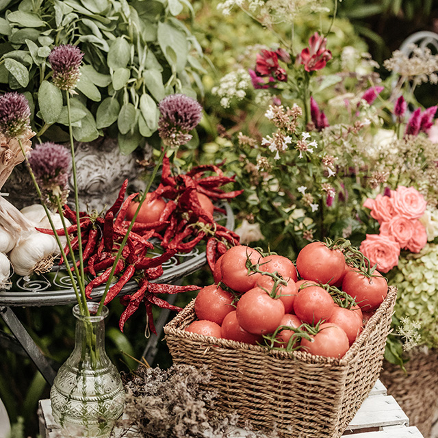 Best food tour italy: Allure Italian Experience Best food tour italy: Allure Italian Experience