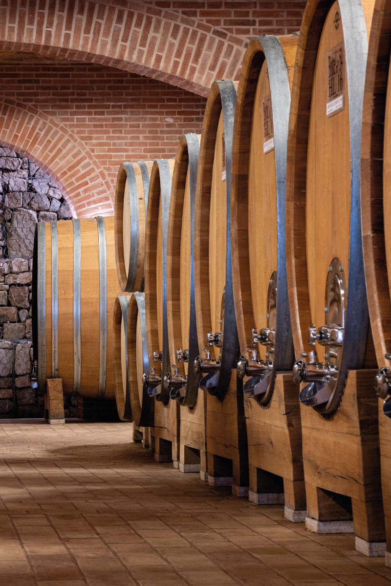 Wine tasting Brunello di Montalcino, Toscana